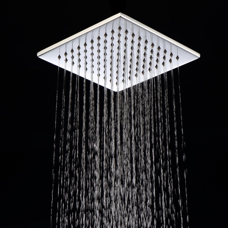 Brass Shower Rose