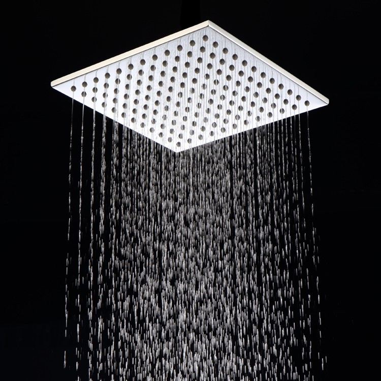 Large Brass Shower Head