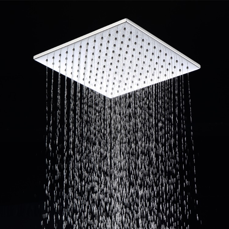 Brass Power Shower