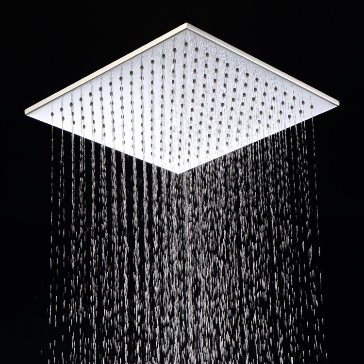 Brass Rain Showerhead