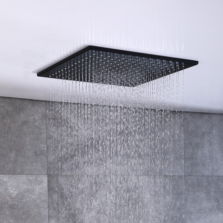 Brass Shower Head Combo