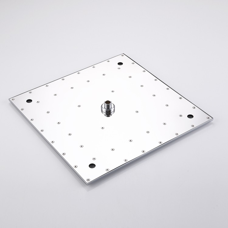 Ceiling Hung Shower Head