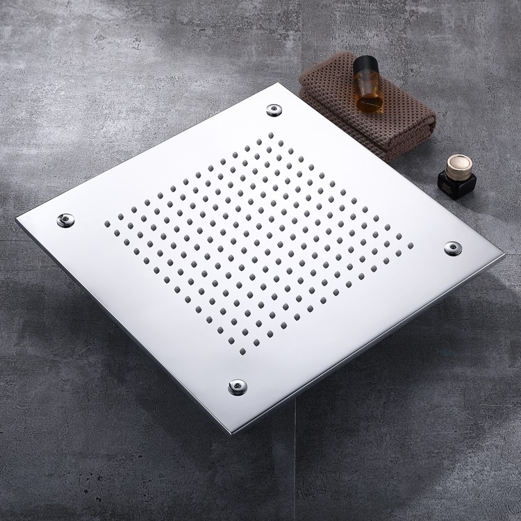 Ceiling Hung Shower Head