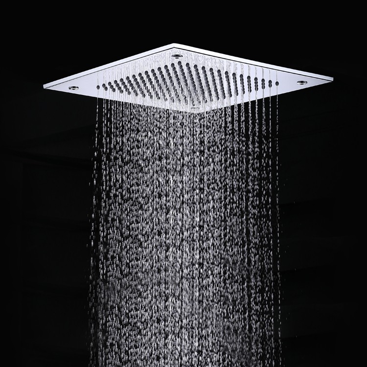 Ceiling Hung Shower Head