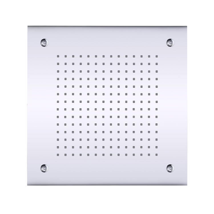 Ceiling Hung Shower Head