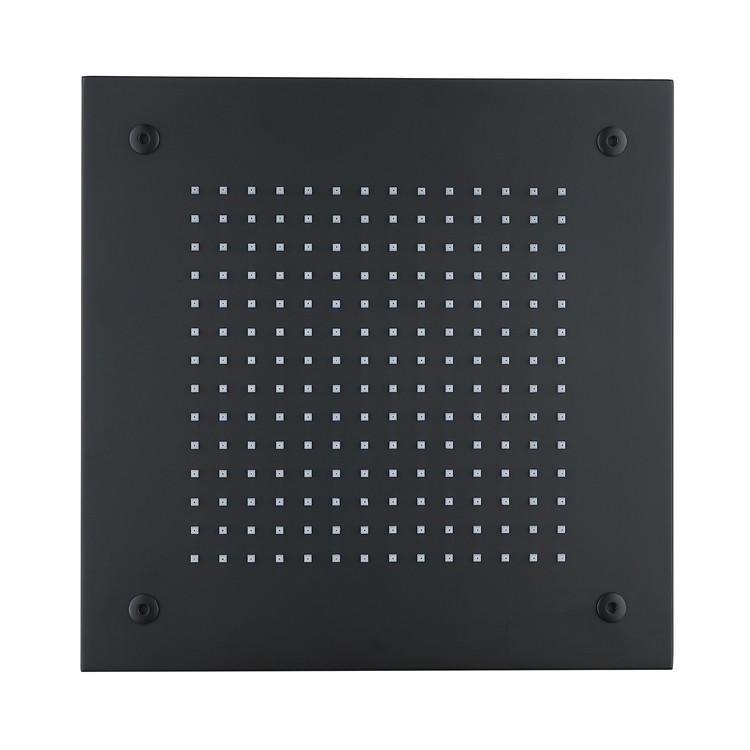 Black Ceiling Shower Head